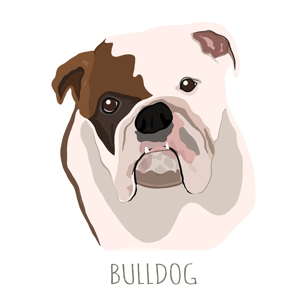 Bull Dog art print by Melanie Torres for $57.95 CAD
