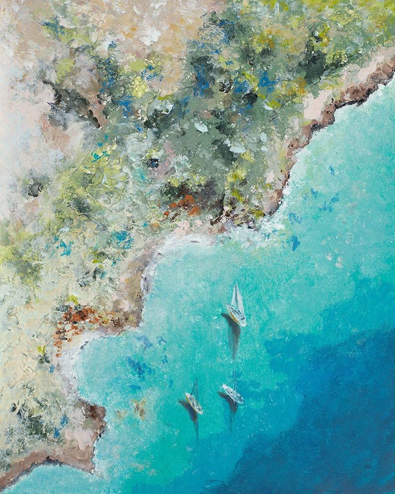 Playa Escondida from Above art print by Patricia Pinto for $57.95 CAD