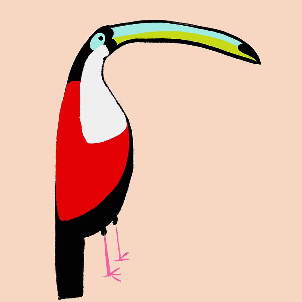 Abstract Toucan art print by Susan Bryant for $57.95 CAD