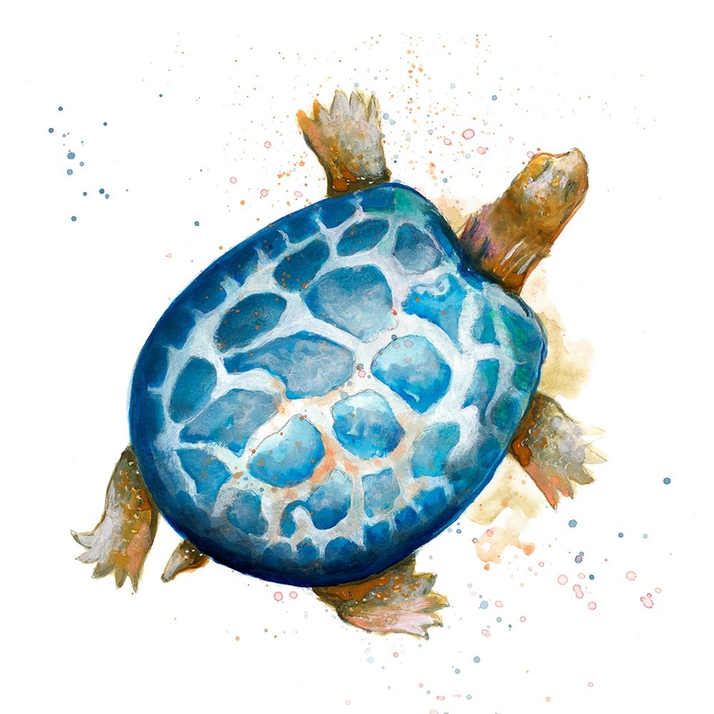 Tortuga Azul Square art print by Patricia Pinto for $57.95 CAD