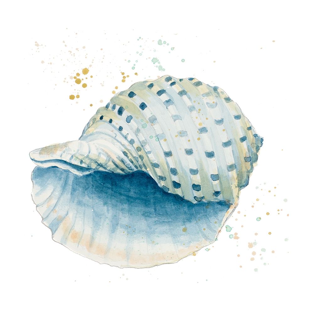 Caracol Azul Square art print by Patricia Pinto for $57.95 CAD