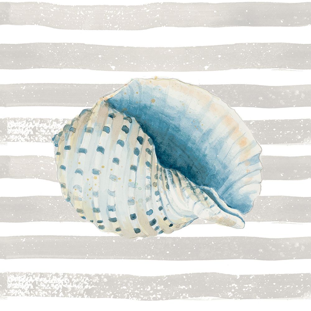 Shell On Stripes art print by Patricia Pinto for $57.95 CAD