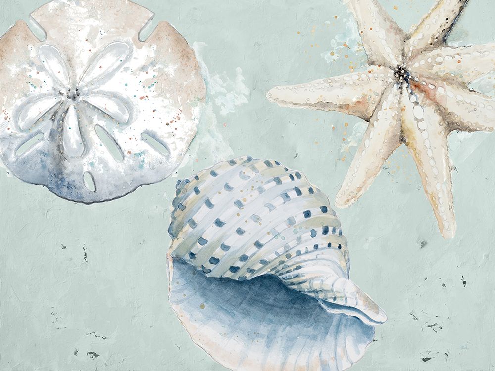 Sea Shells And Starfish art print by Patricia Pinto for $57.95 CAD