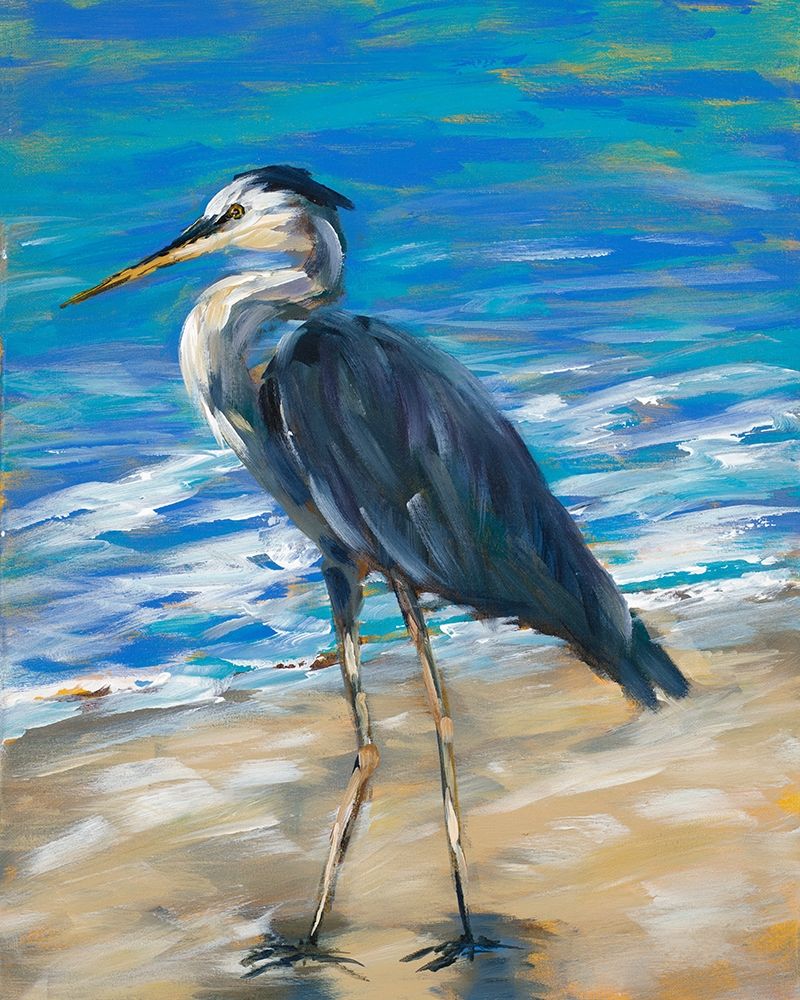 Beach Bird II art print by Julie DeRice for $57.95 CAD
