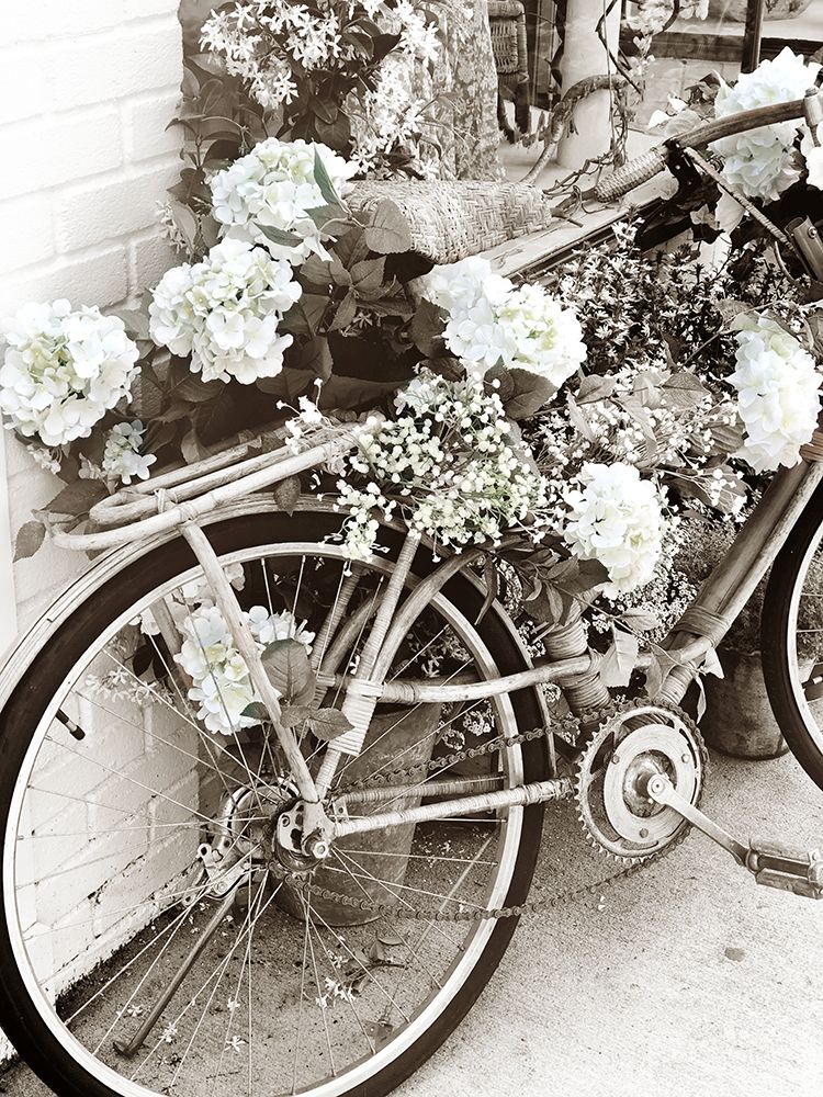 Bicycle Laden With Flowers art print by Acosta for $57.95 CAD