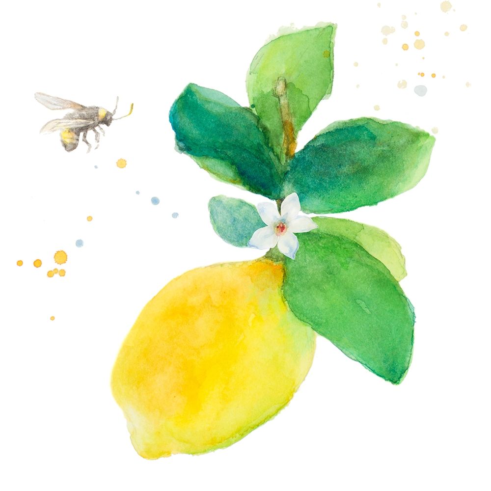 Bee-Friend The Lemon I art print by Lanie Loreth for $57.95 CAD