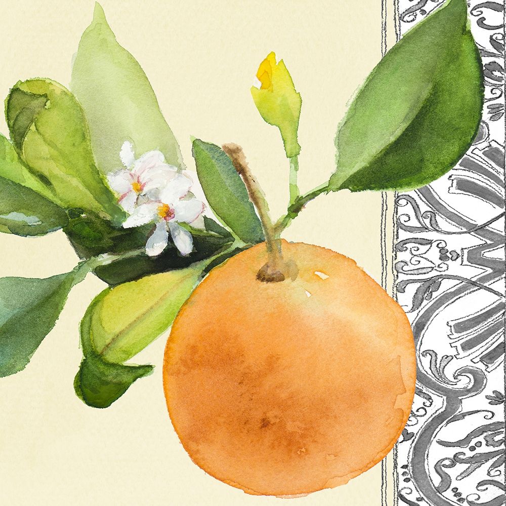 Orange Blossoms II art print by Lanie Loreth for $57.95 CAD
