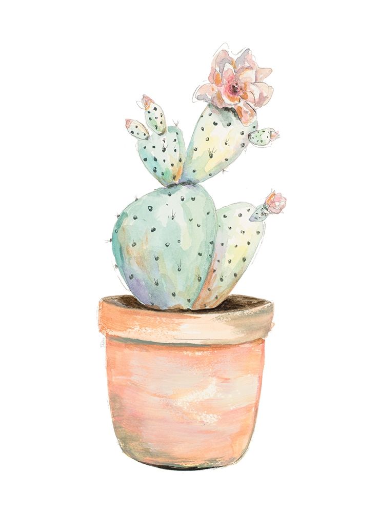 Potted Flower Cactus II art print by Patricia Pinto for $57.95 CAD