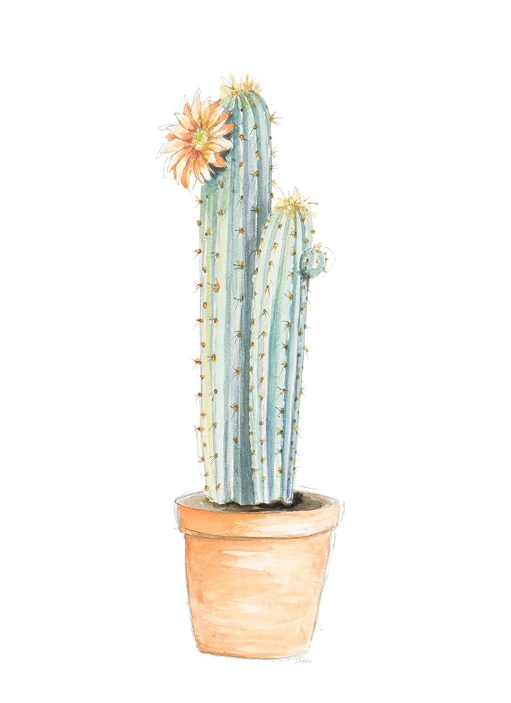 Potted Flower Cactus I art print by Patricia Pinto for $57.95 CAD