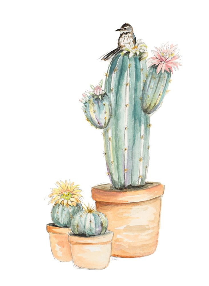 Bird On Flower Cactus art print by Patricia Pinto for $57.95 CAD