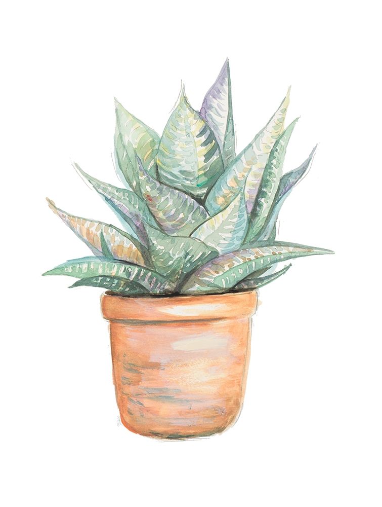 Potted Cactus art print by Patricia Pinto for $57.95 CAD