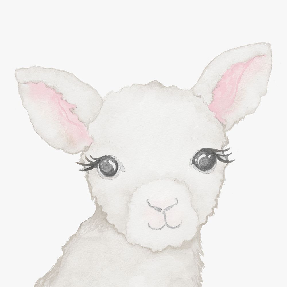 Baby Lamb art print by Elizabeth Medley for $57.95 CAD
