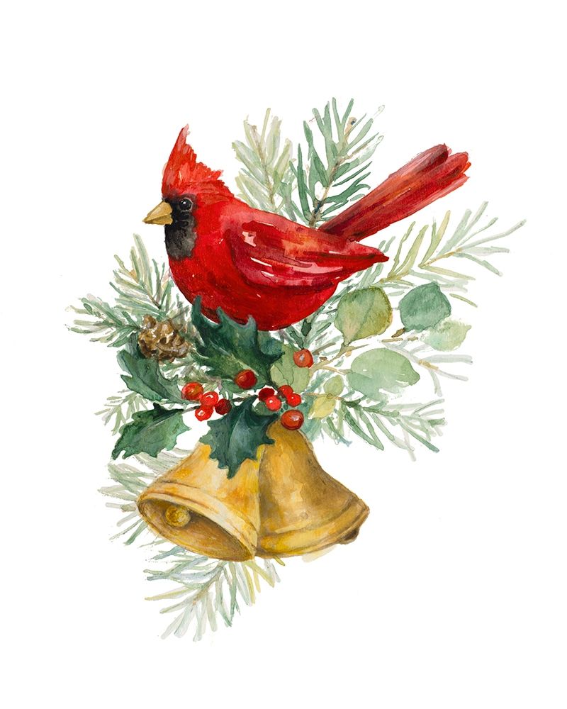 Northern Cardinal on Holiday Bells art print by Lanie Loreth for $57.95 CAD