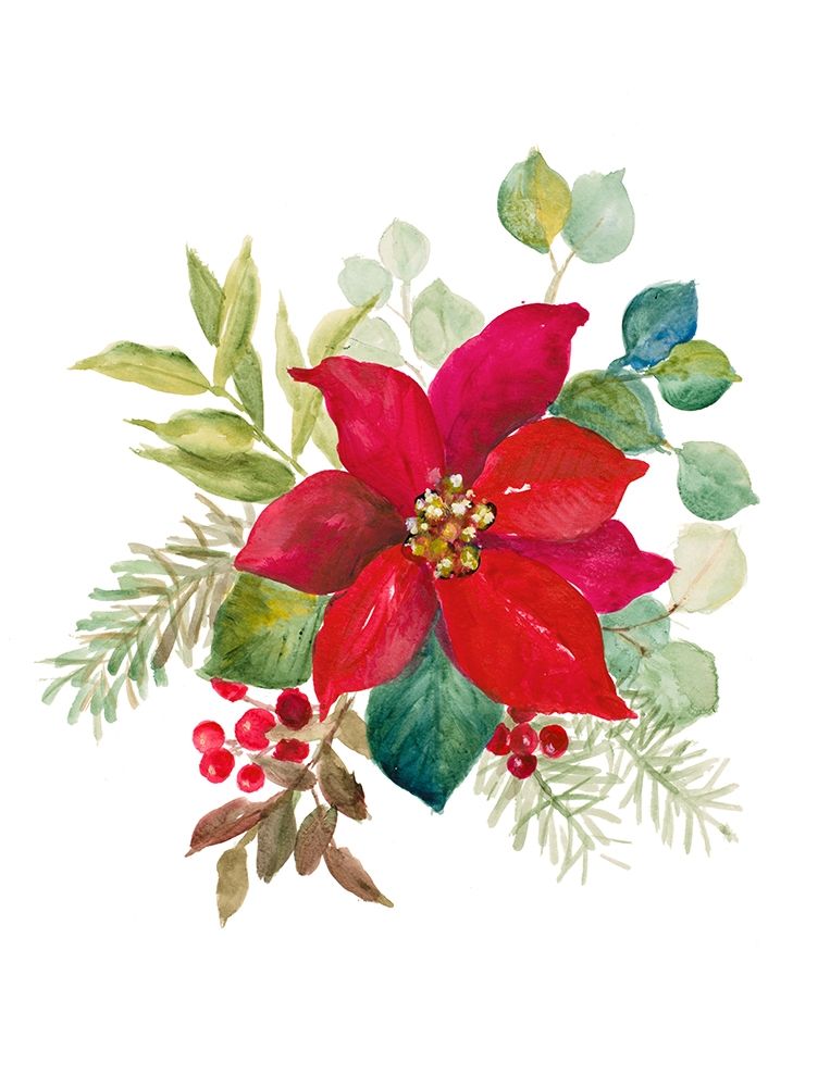 Blooming Poinsettia I art print by Lanie Loreth for $57.95 CAD