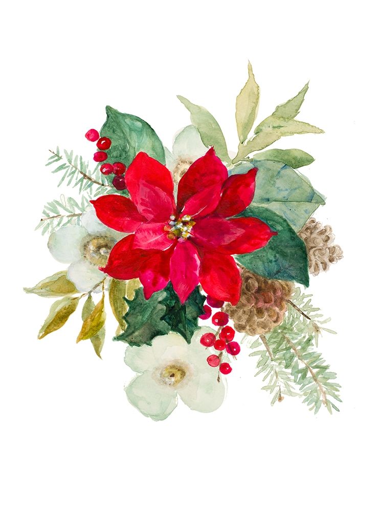 Blooming Poinsettia II art print by Lanie Loreth for $57.95 CAD