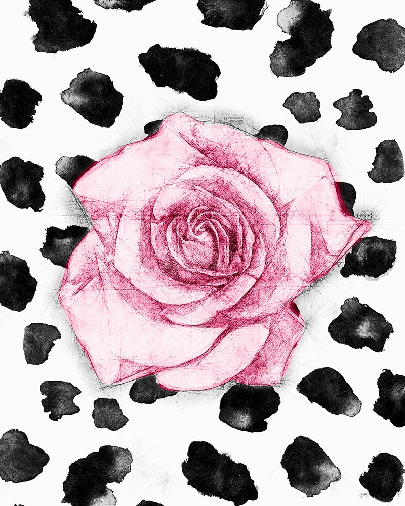 Dalmation Rose I art print by Elizabeth Medley for $57.95 CAD