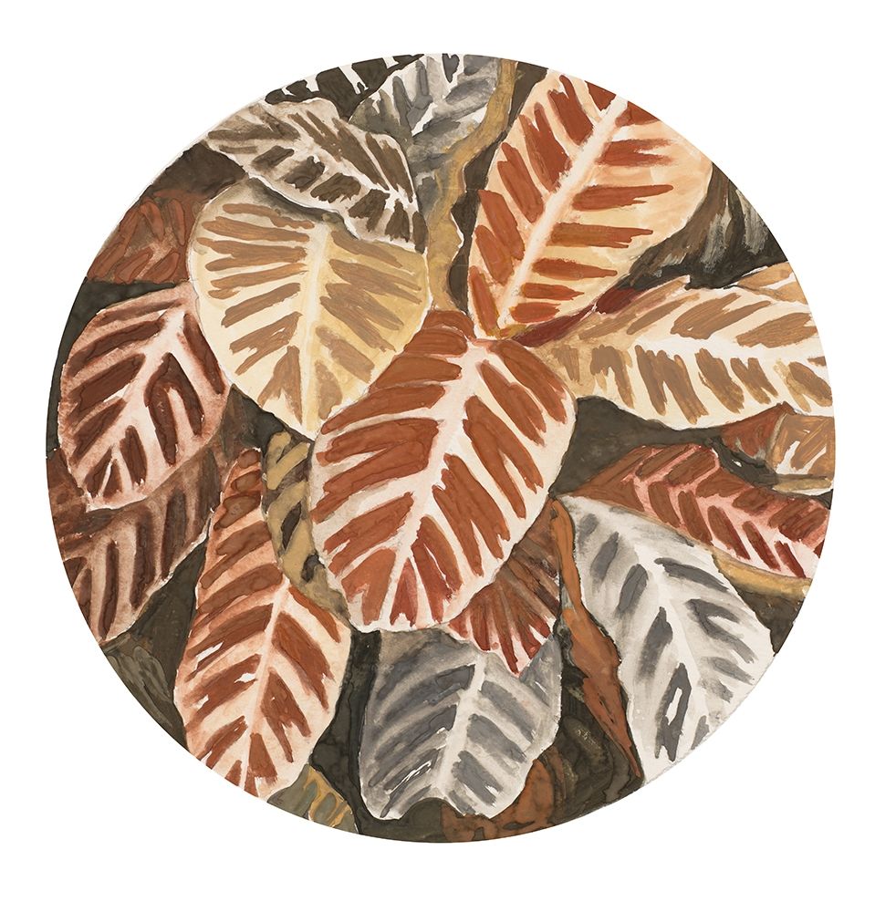 Sepia Leaves In Circle art print by Patricia Pinto for $57.95 CAD