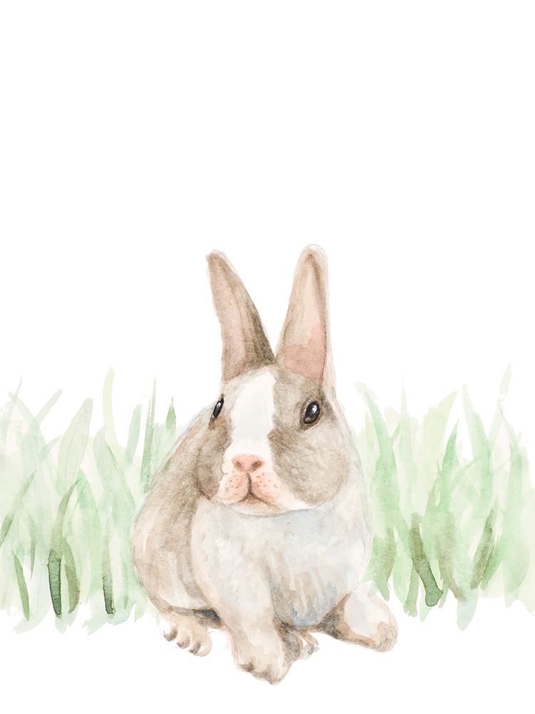 Bunny In The Grass art print by Lanie Loreth for $57.95 CAD