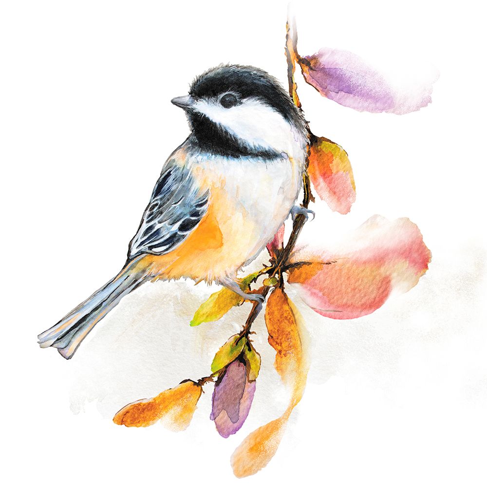 Watercolor Chickadee II art print by Diannart for $57.95 CAD