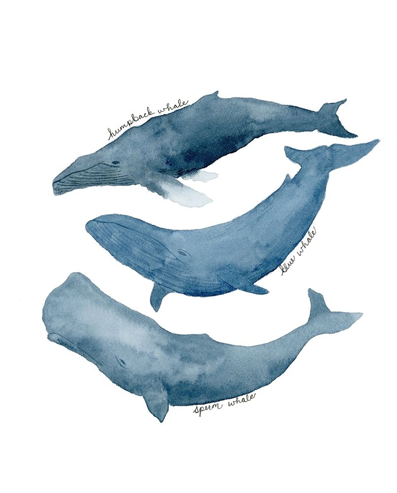 Whale Trio art print by Lucille Price for $57.95 CAD