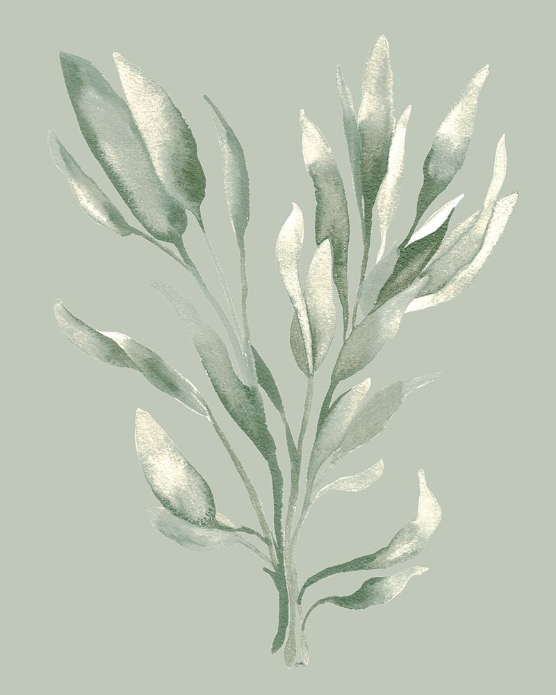 Tonal Green Ferns II art print by Elizabeth Medley for $57.95 CAD