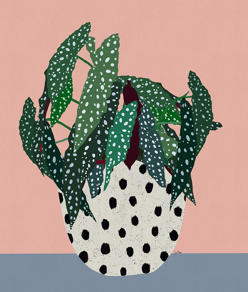 Plant in Dotted Pot art print by Jen Bucheli for $57.95 CAD