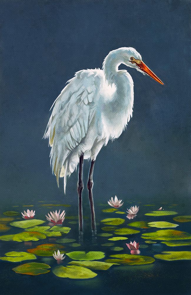 Egret Amongst The Lily Pads art print by Lucca Sheppard for $57.95 CAD