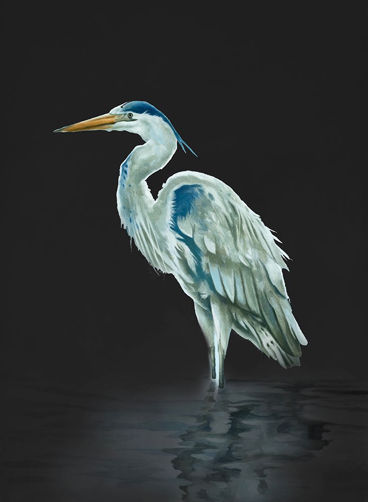 Garza Azul On Black art print by Lucca Sheppard for $57.95 CAD