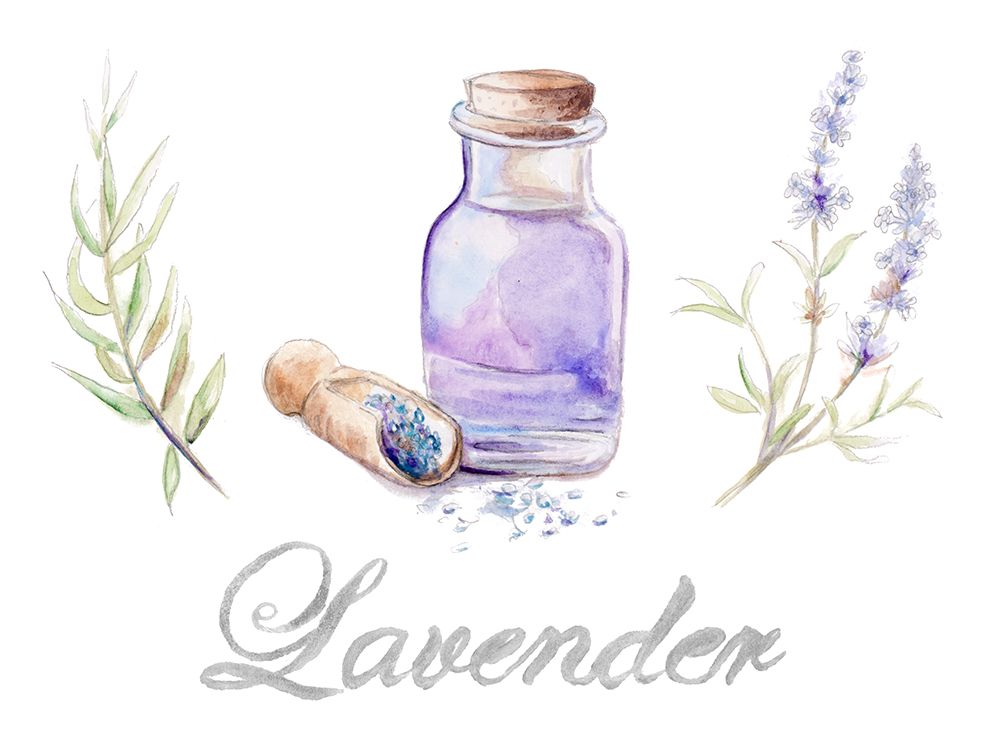 Essential Lavender art print by Patricia Pinto for $57.95 CAD