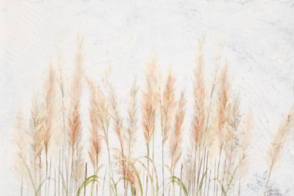 Delicate Pampas with Textured Background art print by Patricia Pinto for $57.95 CAD