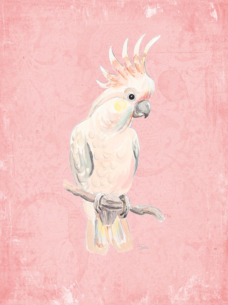 Pink Cockatoo art print by Patricia Pinto for $57.95 CAD
