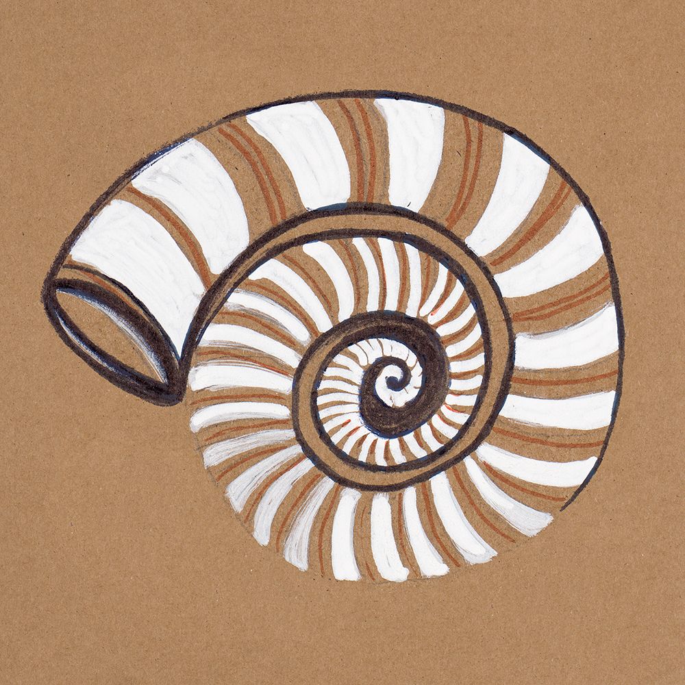 Ocean World Shell art print by Patricia Pinto for $57.95 CAD