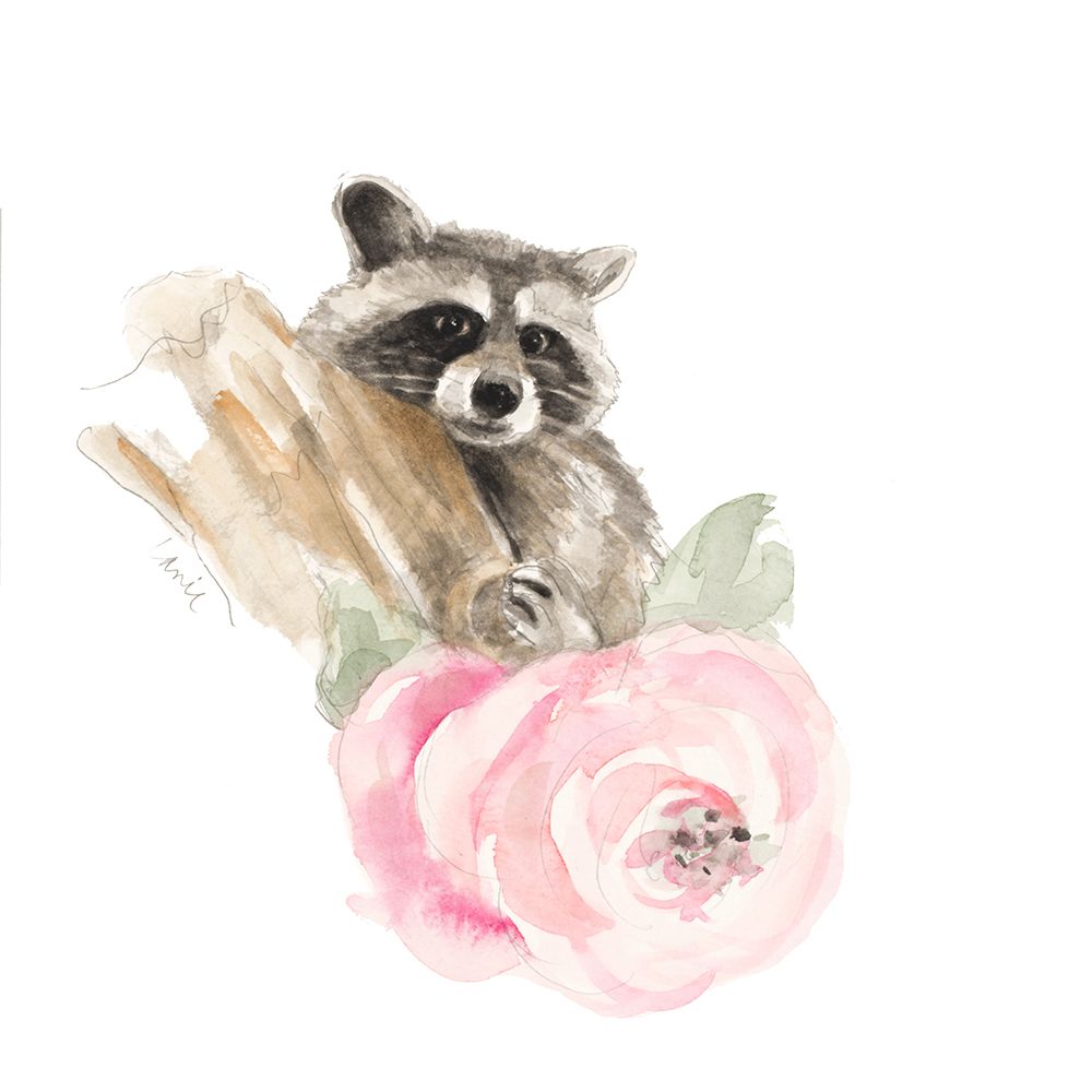 Raccoon on Branch II art print by Lanie Loreth for $57.95 CAD