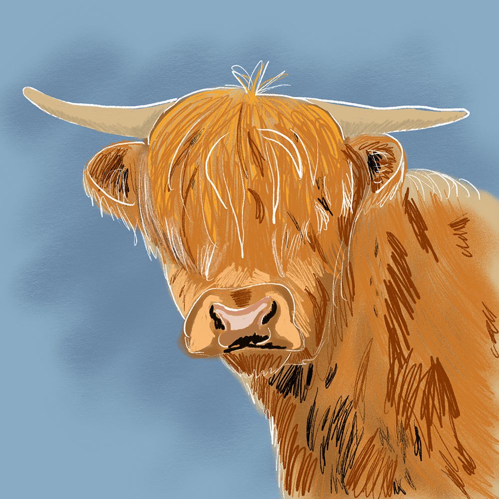 Highland Cow art print by Kali Wilson for $57.95 CAD