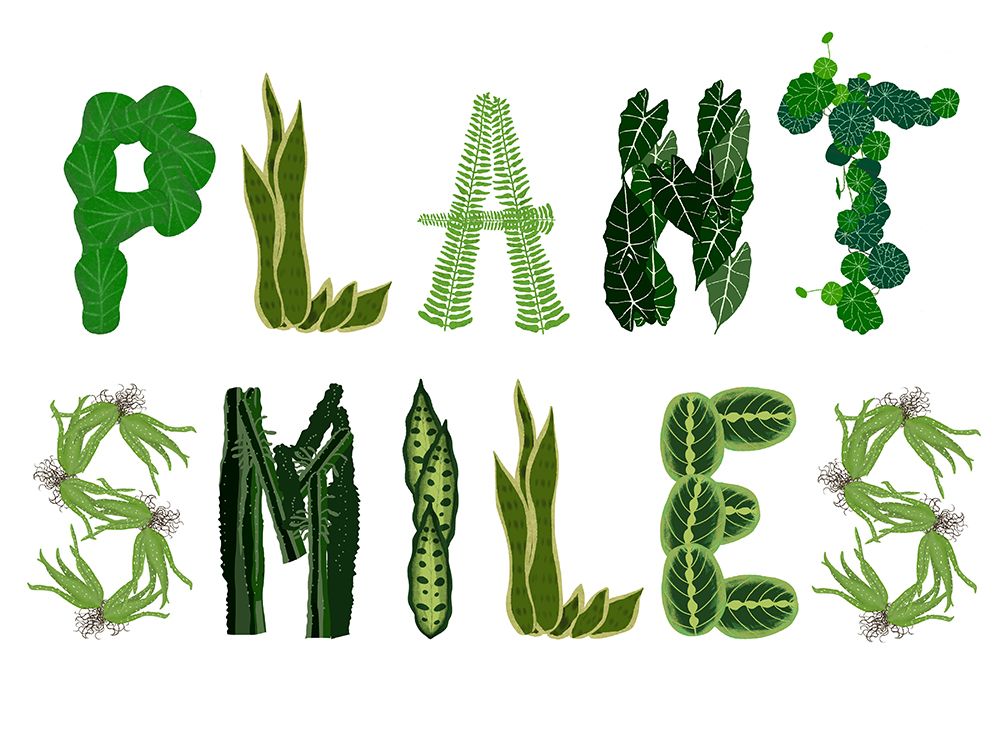 Plant Smiles art print by Jen Bucheli for $57.95 CAD