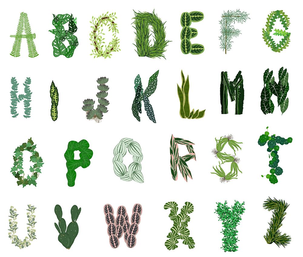 Plant Alphabet art print by Jen Bucheli for $57.95 CAD