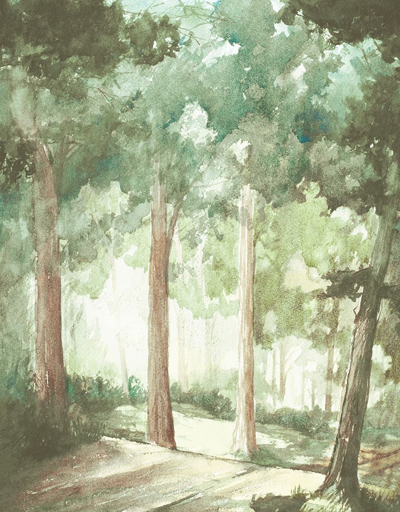 Walk in the Sunlit Woods art print by Bruce Nawrocke for $57.95 CAD