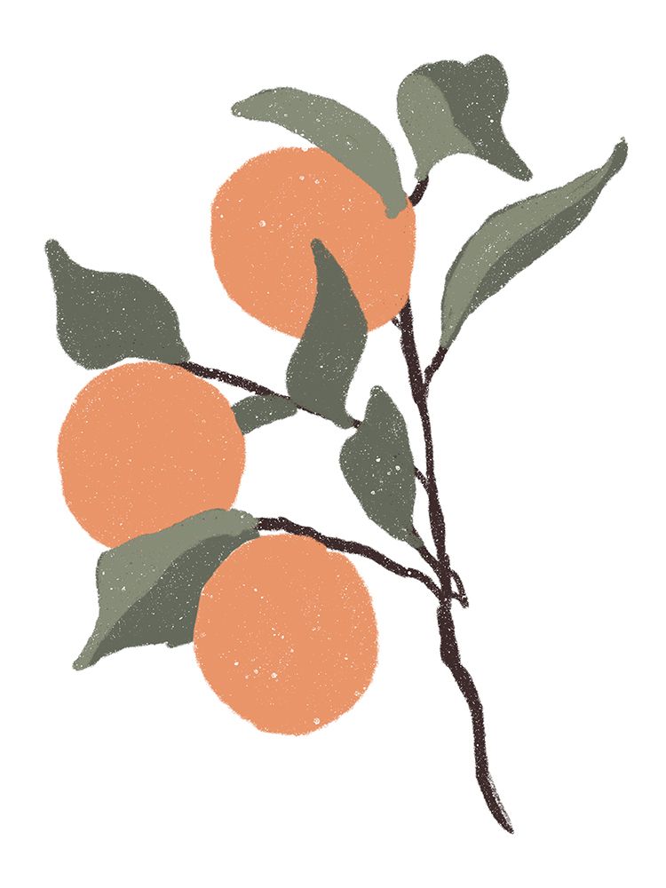 Stem Of Oranges art print by Lucille Price for $57.95 CAD