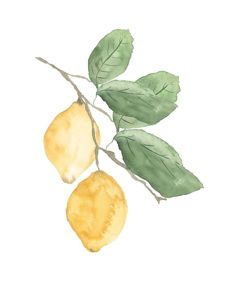 Stem Of Lemons art print by Lucille Price for $57.95 CAD