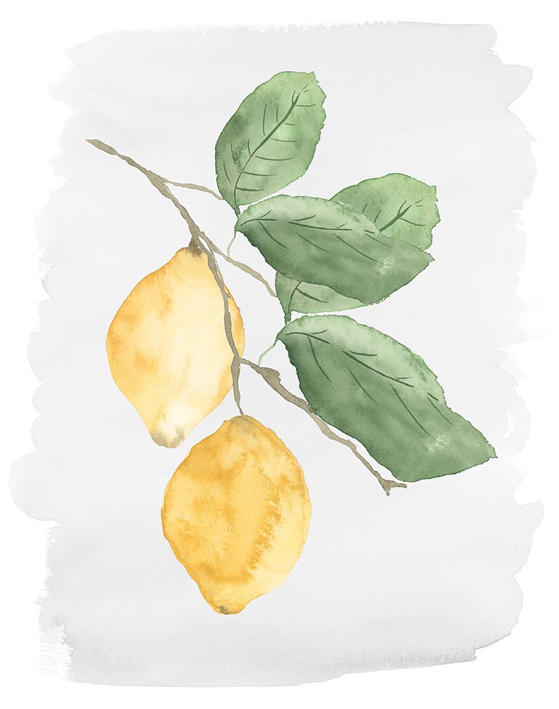 Fresh Lemons art print by Lucille Price for $57.95 CAD