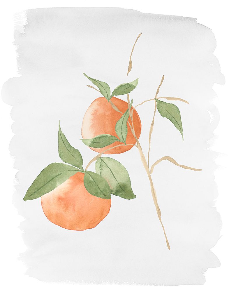 Fresh Oranges art print by Lucille Price for $57.95 CAD