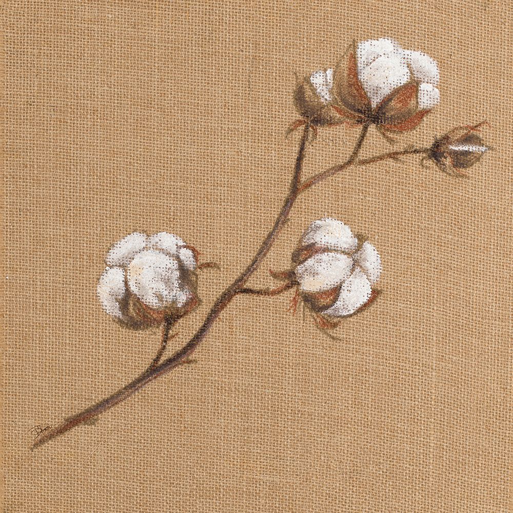 Cotton Branch I art print by Patricia Pinto for $57.95 CAD