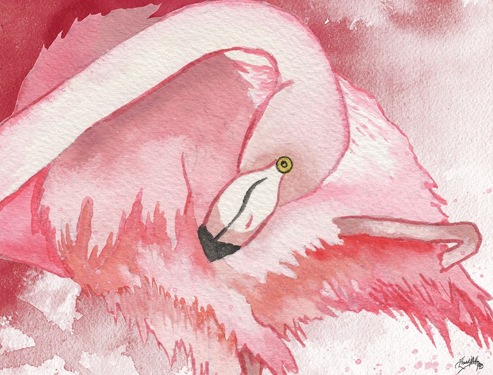 Resting Flamingo art print by Elizabeth Medley for $57.95 CAD