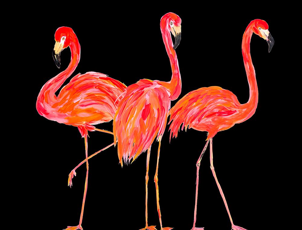 Trio of Flamingos on Black art print by Julie DeRice for $57.95 CAD