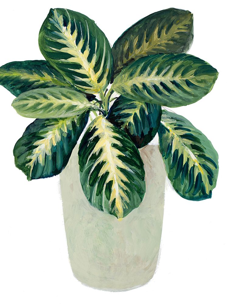 Prayer Plant I art print by Lanie Loreth for $57.95 CAD