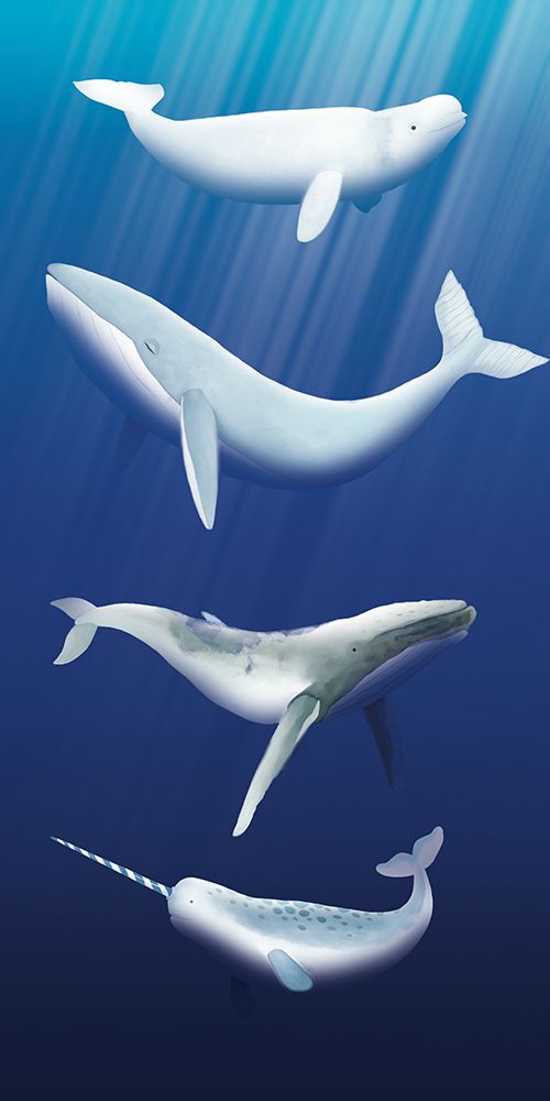 Whales In The Deep Sea art print by Lucca Sheppard for $57.95 CAD