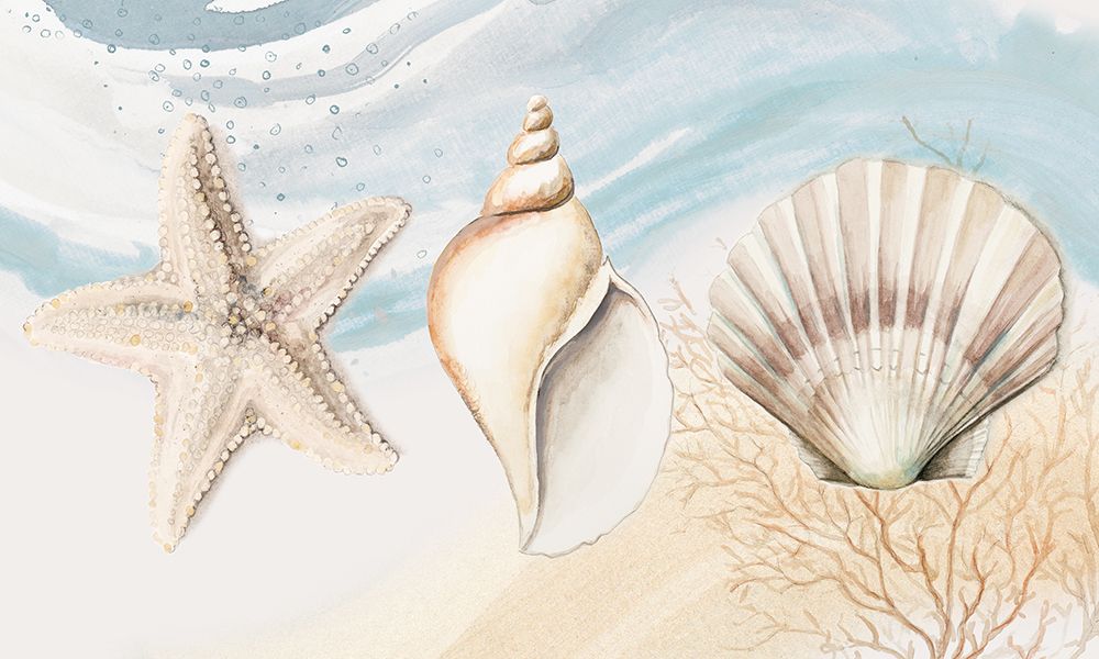 Ocean Oasis Shells art print by Patricia Pinto for $57.95 CAD