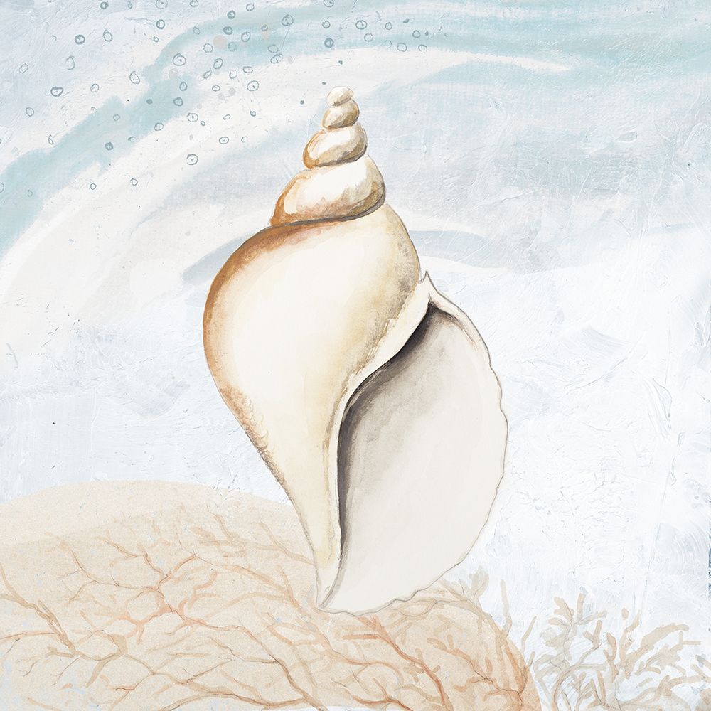 Ocean Oasis Tropical Seashell I art print by Patricia Pinto for $57.95 CAD