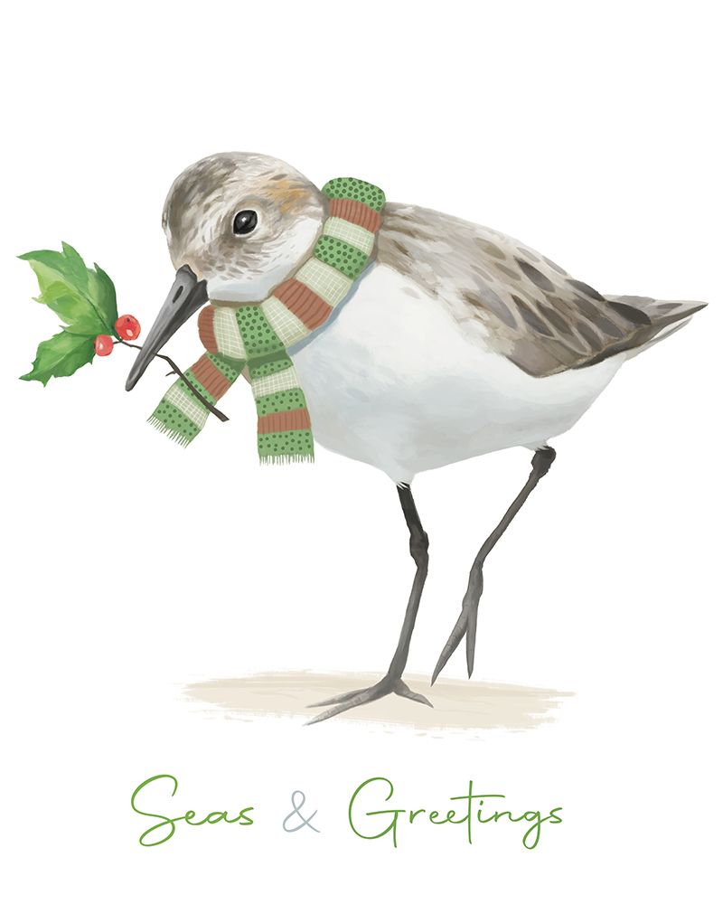 Christmas Sandpiper II art print by Lucca Sheppard for $57.95 CAD