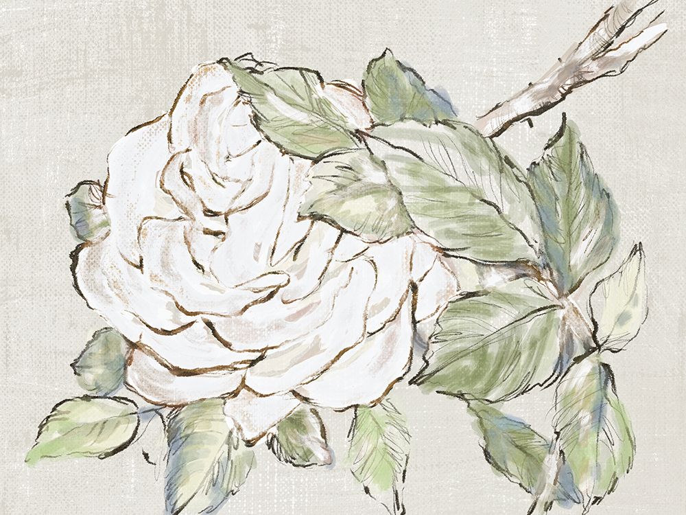 A New Rose art print by Lanie Loreth for $57.95 CAD